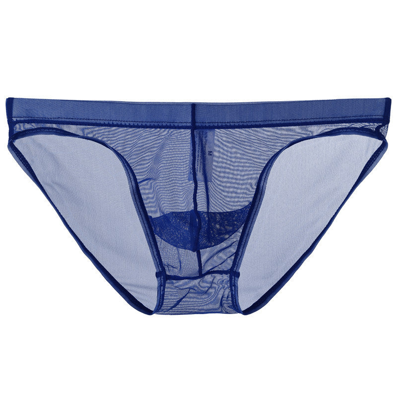 Men's Mesh Thin Transparent Underwear Low Waist Briefs