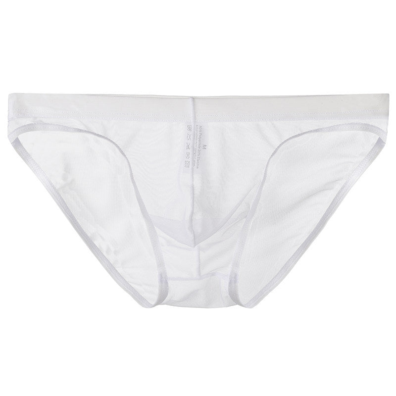 Men's Mesh Thin Transparent Underwear Low Waist Briefs
