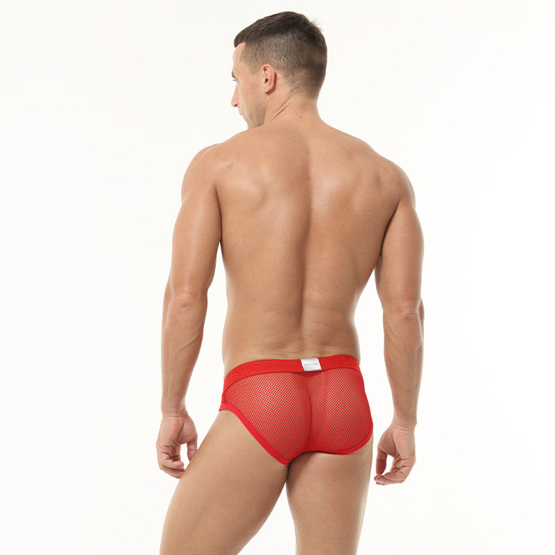 Sexy Men's Briefs High Elastic Mesh Low Waist Panties