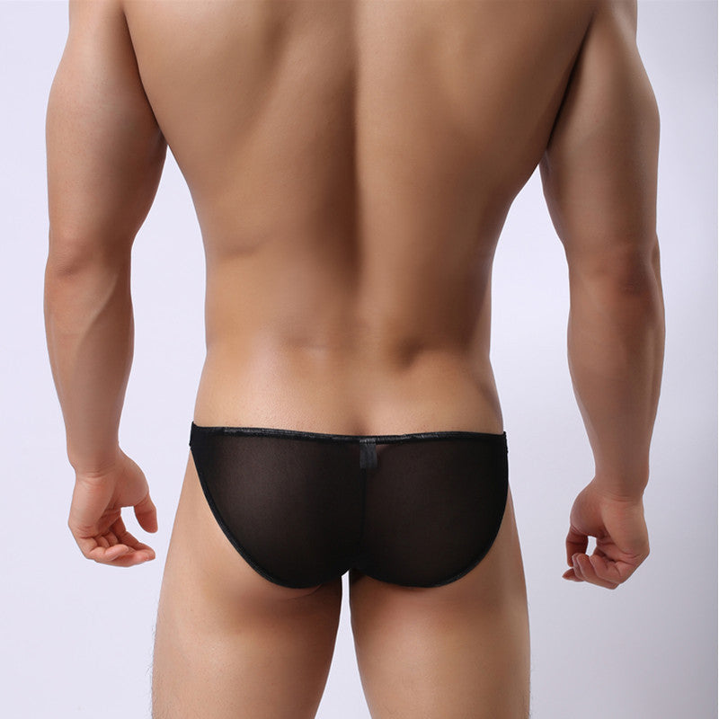 Men's Underwear Transparent Mesh Sexy Comfortable Briefs