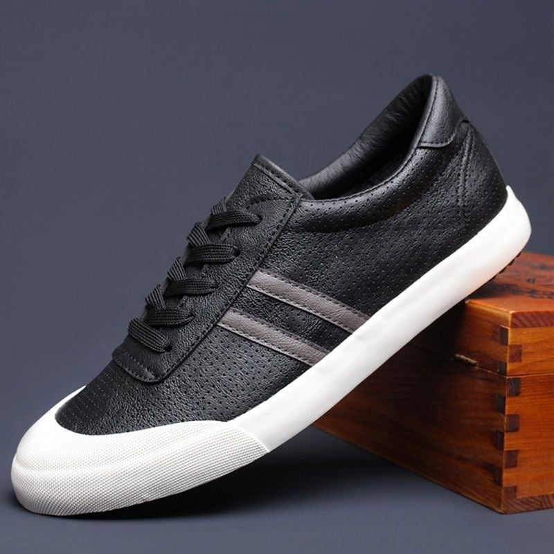 Men's Shoes Spring And Summer Breathable Fashionable Shoes Casual Odor-destroying Leather