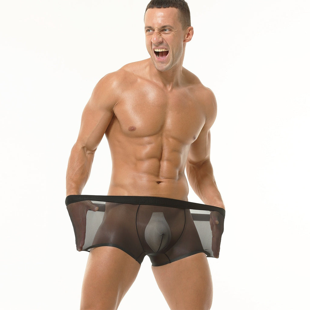 Men's Transparent Ice Silk Underwear Summer Thin Breathable Traceless