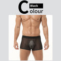Men's Transparent Ice Silk Underwear Summer Thin Breathable Traceless