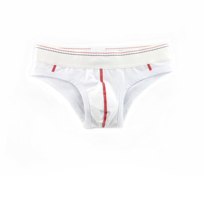 Men's Low Waist Panties Briefs