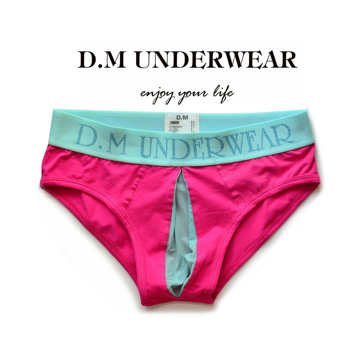 Low Waist Transparent Mesh Open Briefs