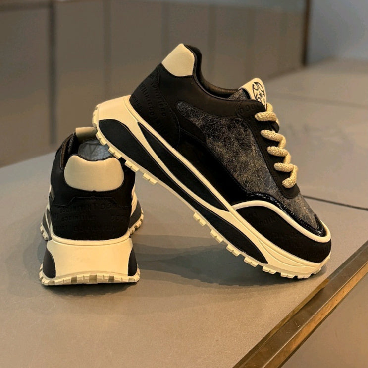 Thick Bottom Wear-resistant Retro Daddy Shoes Male