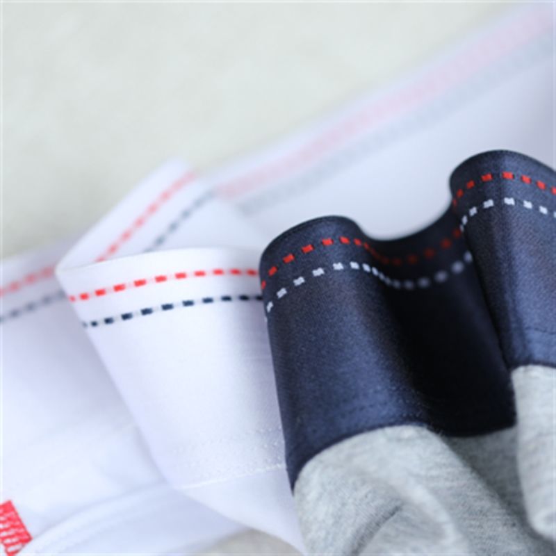 Men's Low Waist Panties Briefs
