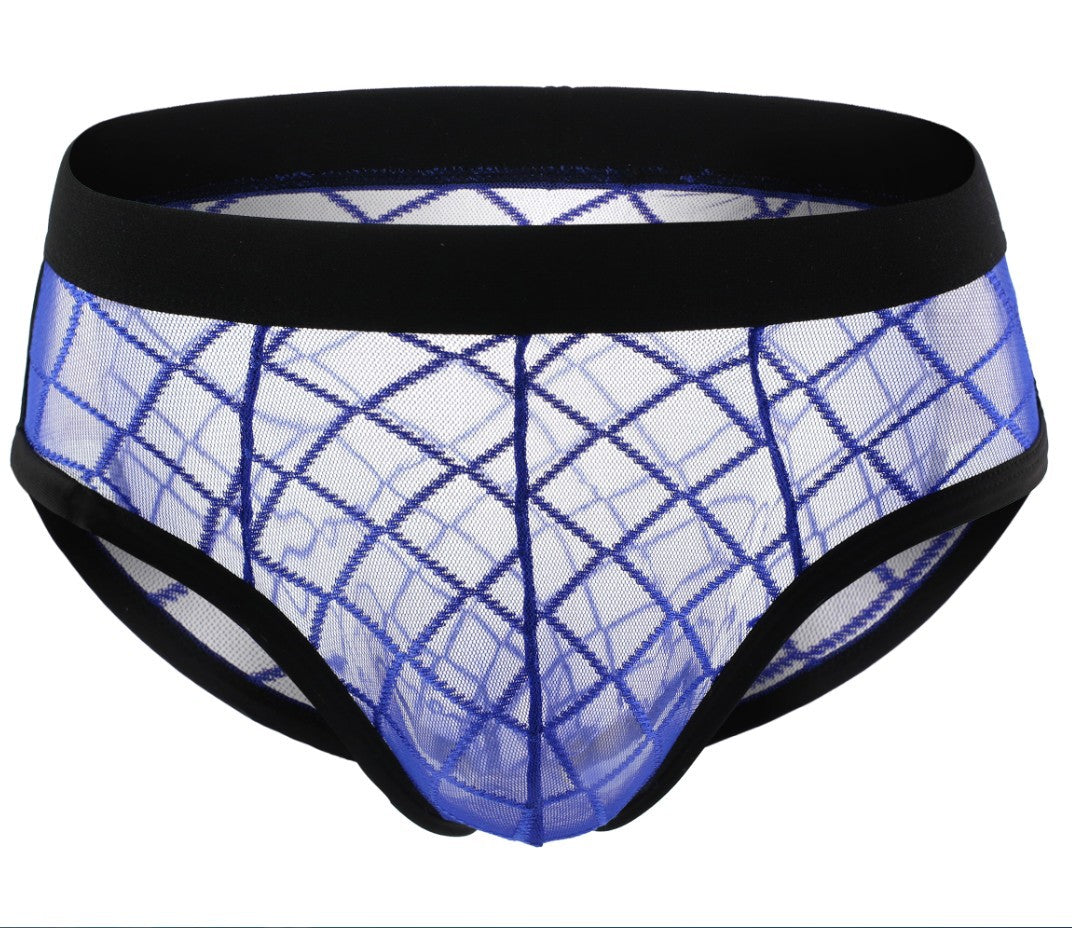 Mesh See Through Breathable Men's Triangle Underwear