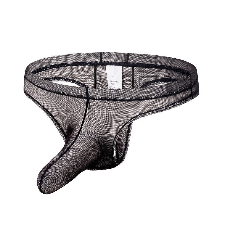 Men's Fashion Sheer Low Waist Long Nose Underwear