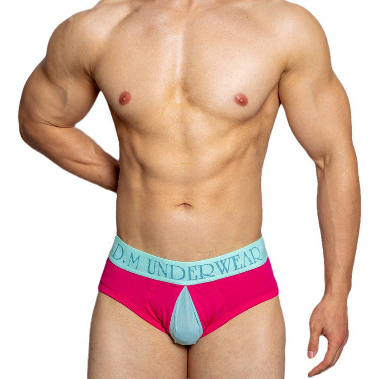 Low Waist Transparent Mesh Open Briefs